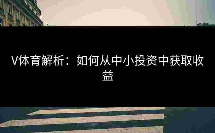V体育解析：如何从中小投资中获取收益