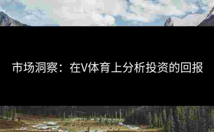 市场洞察：在V体育上分析投资的回报